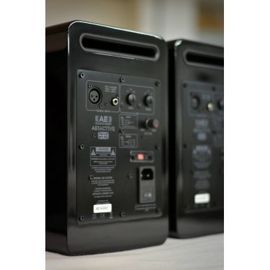 Активная полочная акустика Acoustic Energy AE1 Active Piano Black